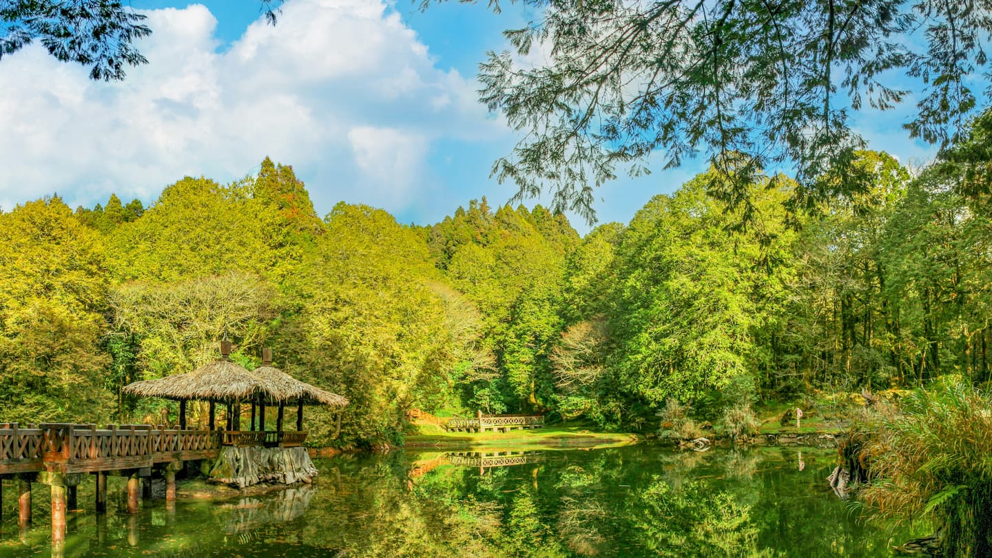 草花石 自然風景デザイン 木製台座付き 白川郷での美味しい食べ歩き6